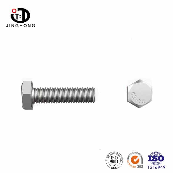 10 মিমি স্টেইনলেস স্টিল হেক্স বোল্টস